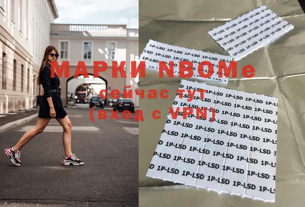 каннабис Новозыбков