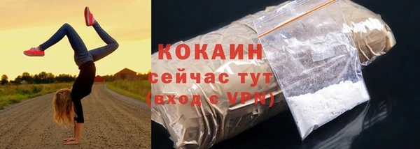PSILOCYBIN Новокубанск