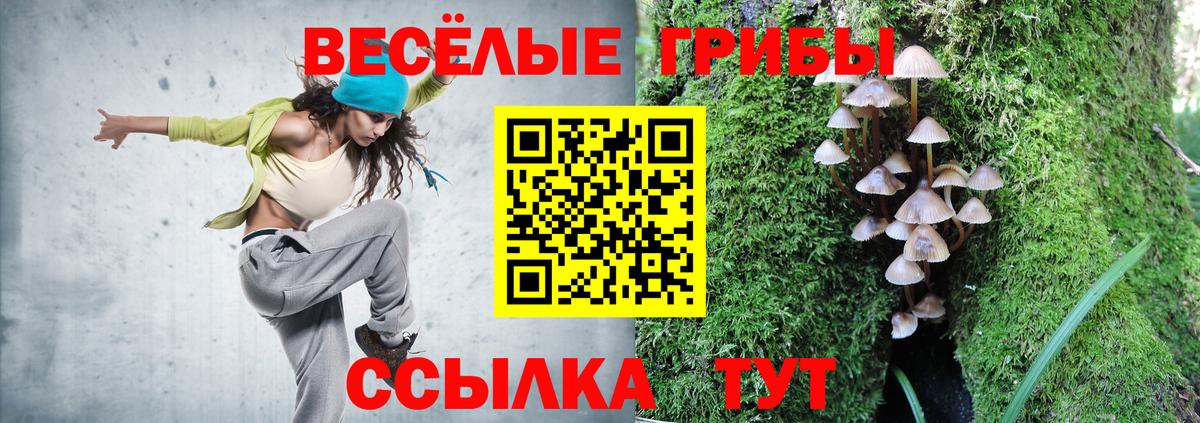 Галлюциногенные грибы ЛСД  Лянтор  Псилоцибиновые грибы Psilocybine cubensis 