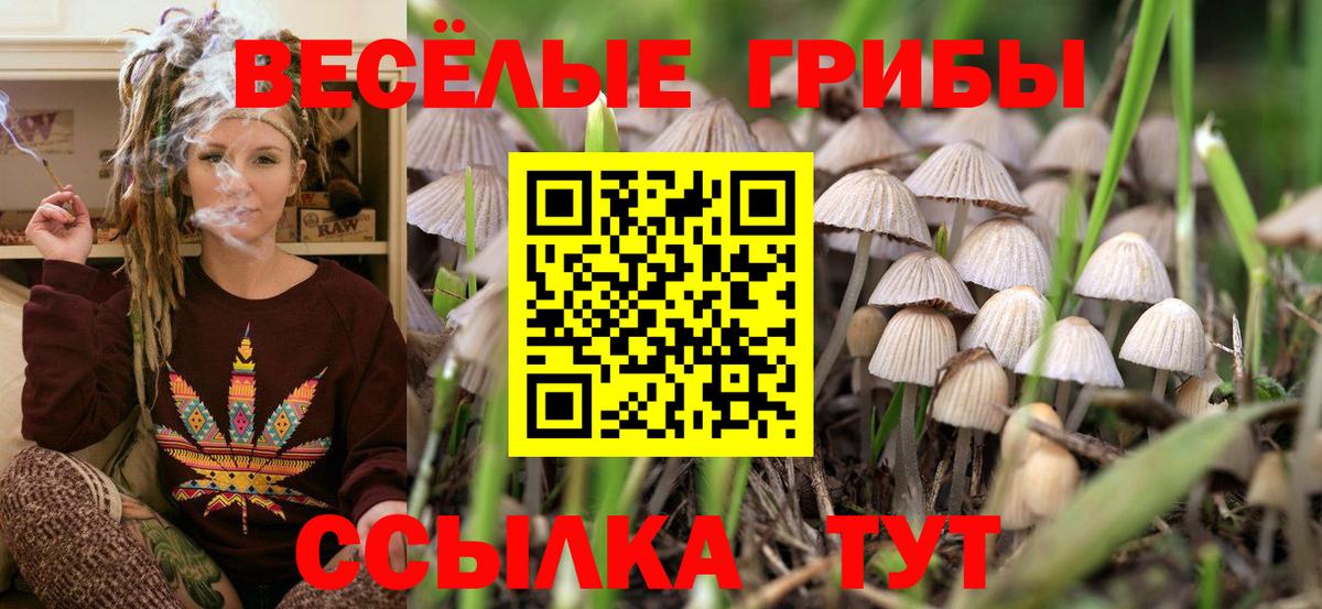 Где продают наркотики?  Марки  Хэш  Лянтор  Лсд 25  Бошки Шишки  Меф  Вход с VPN 